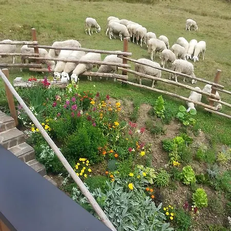 Apartma Juvan * Ljubno